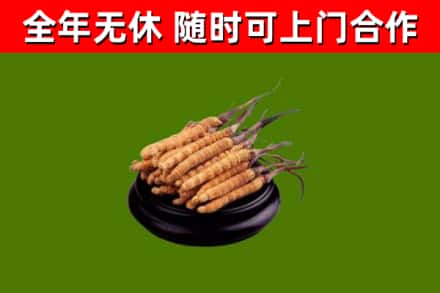 卡若区烟酒回收冬虫夏草.jpg